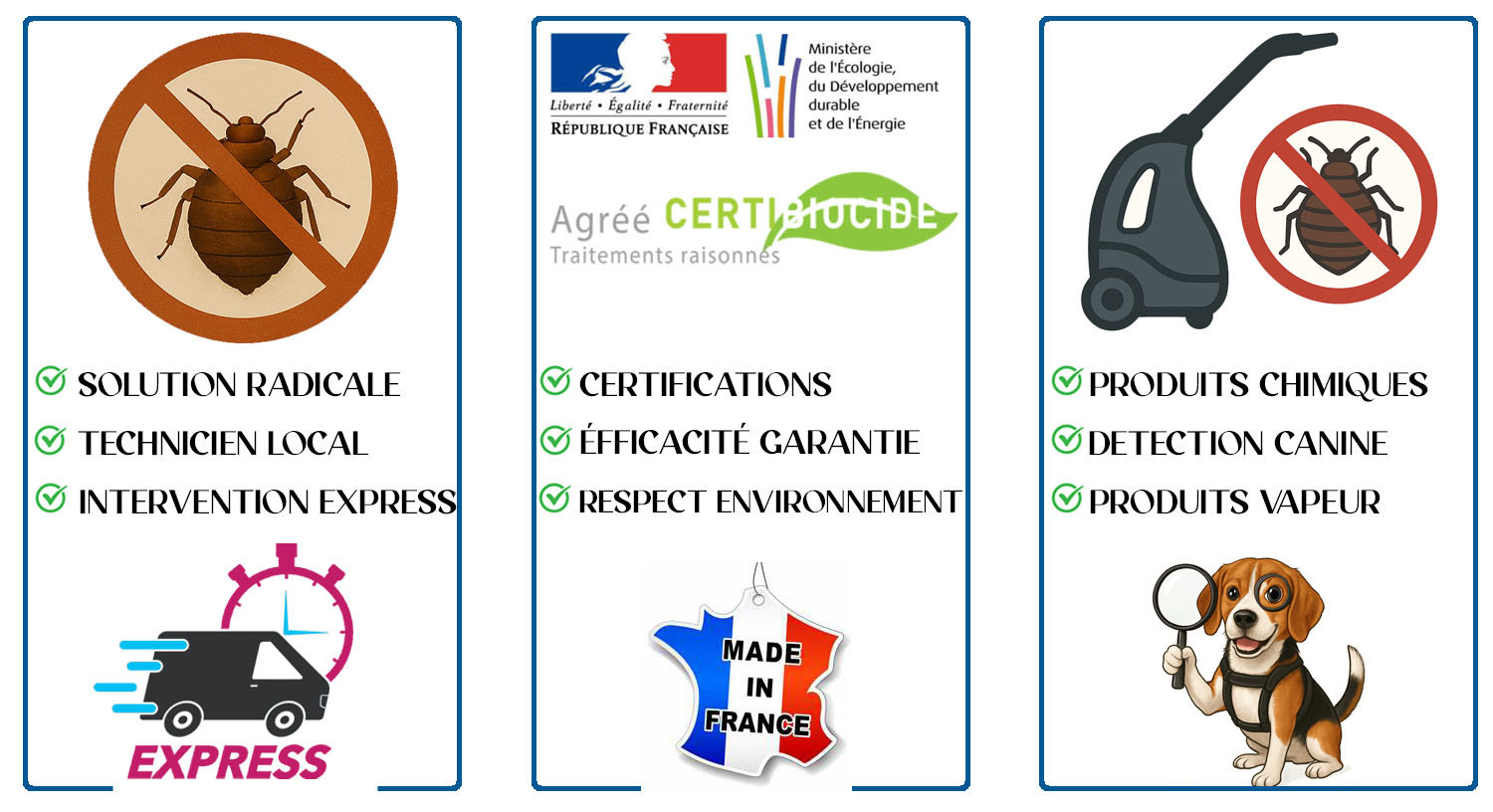 Punaises de Lit Andilly